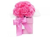 Caixa Rosa com Cravo Rosa (P)