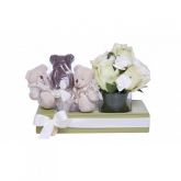 Caixa Verde com Rosa, Cravina, Urso de Pelúcia e Chocolate T